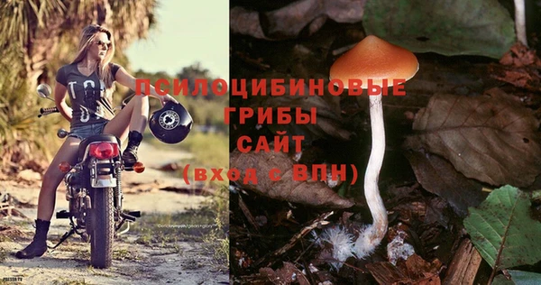 jwh Алзамай