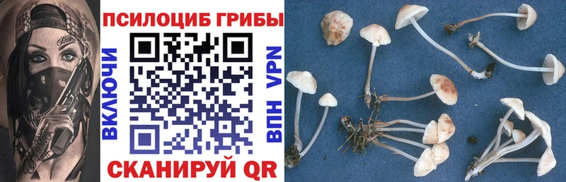 сколько стоит  Котово  Псилоцибиновые грибы GOLDEN TEACHER 